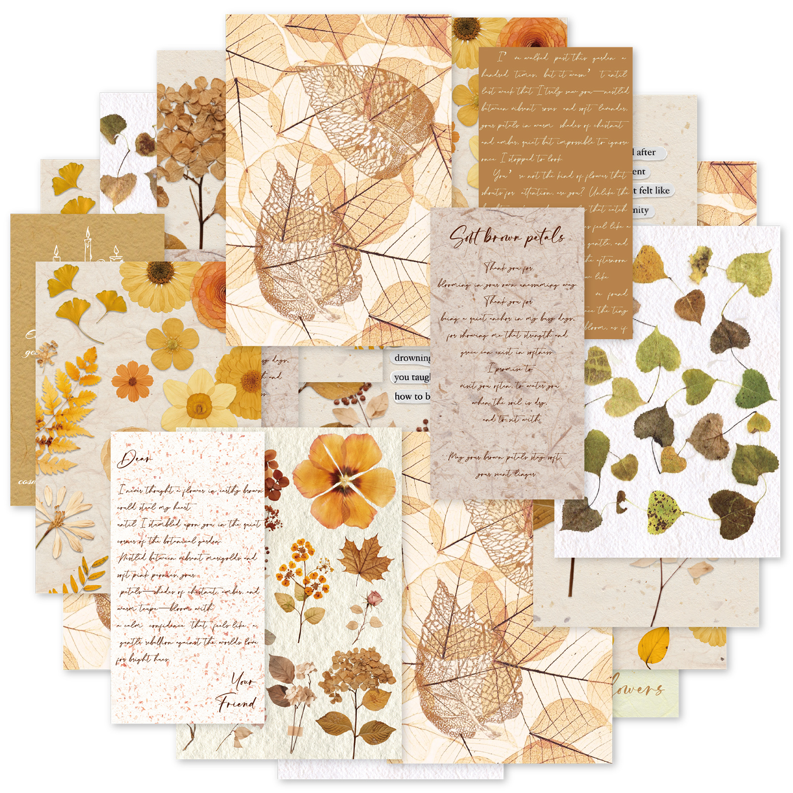 The Korean Lifestyle Book - Etori Life 20Pcs Vintage Autumn Brown
